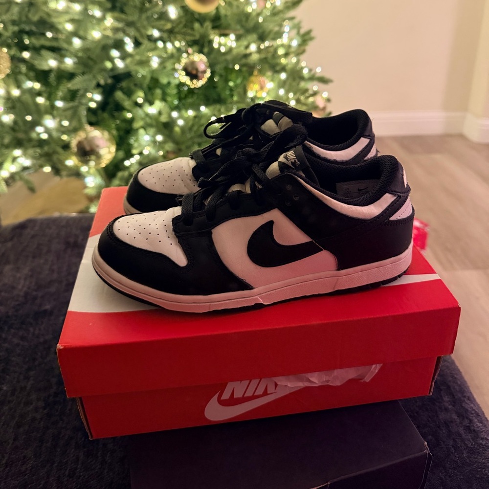 Nike Dunks low